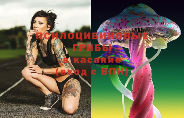 меф Нягань