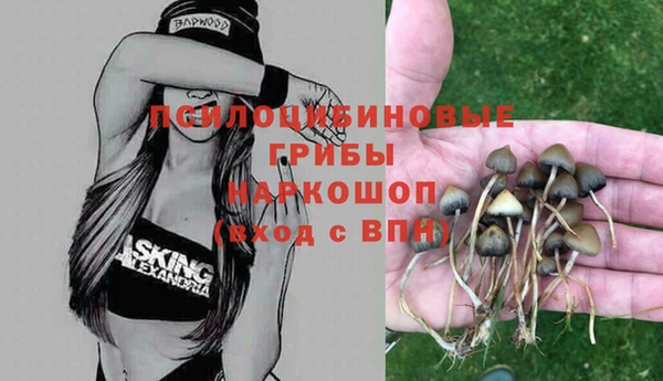 скорость Арсеньев