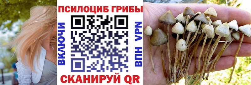 Псилоцибиновые грибы Magic Shrooms  omg tor  Очёр 